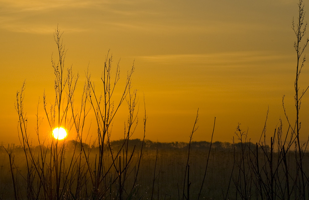 Sonnenaufgang