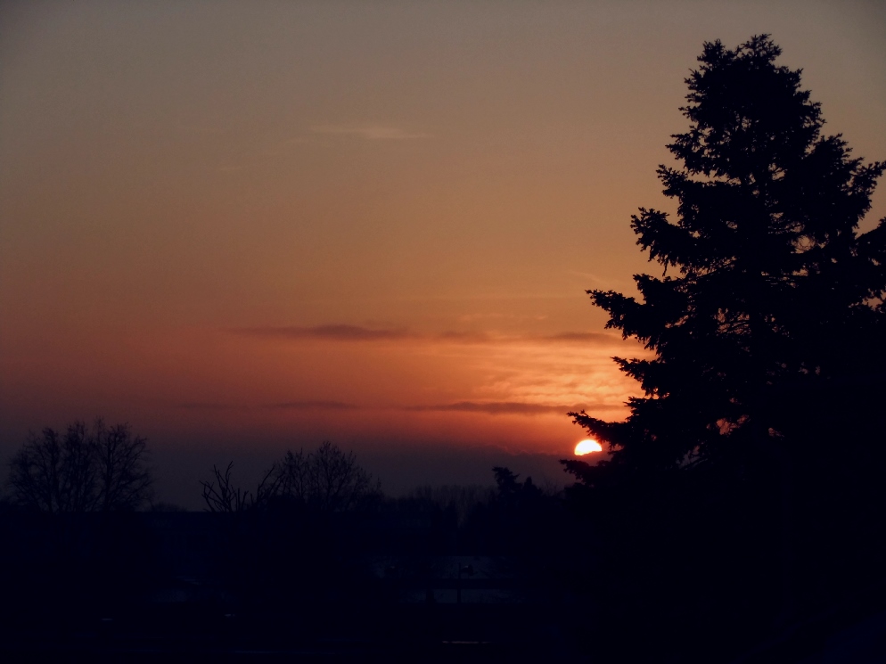 Sonnenaufgang 8