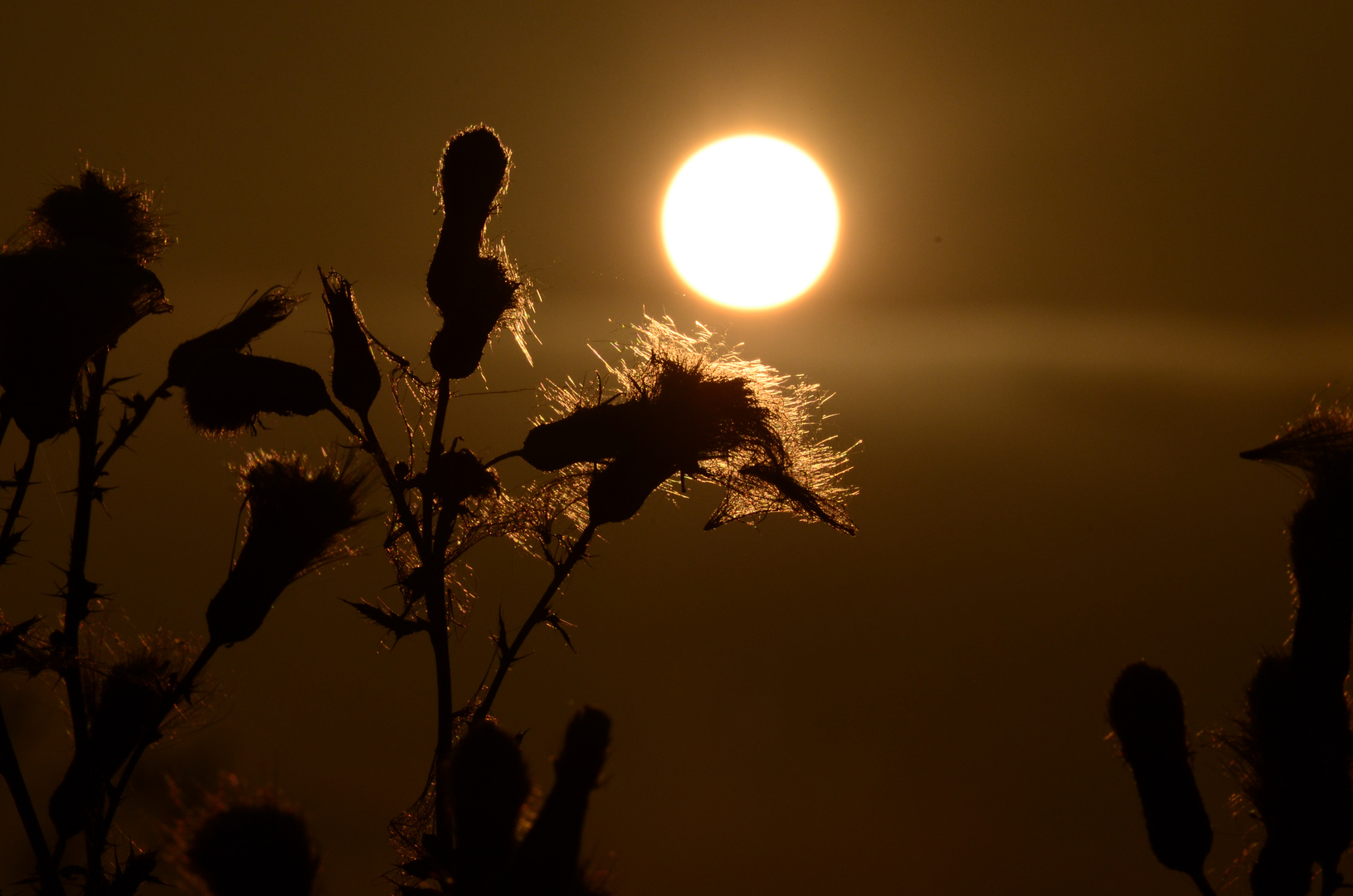 Sonnenaufgang