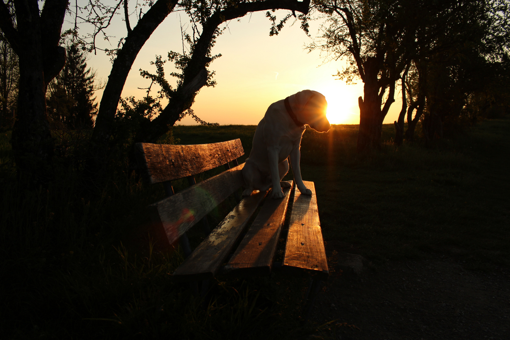 Sonnenaufgang