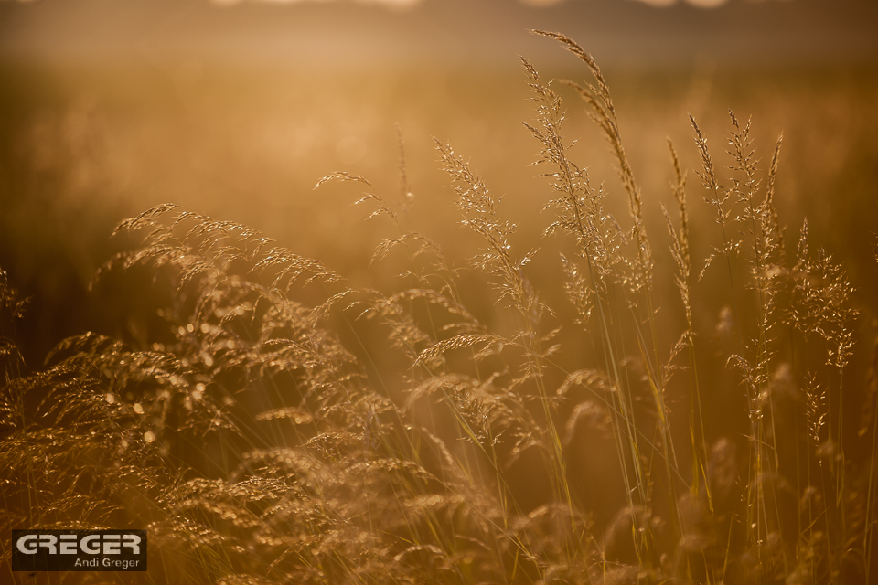 Sonnenaufgang