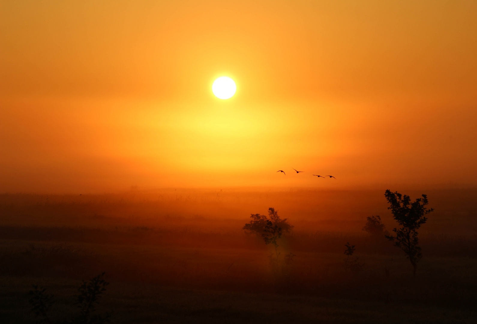 Sonnenaufgang