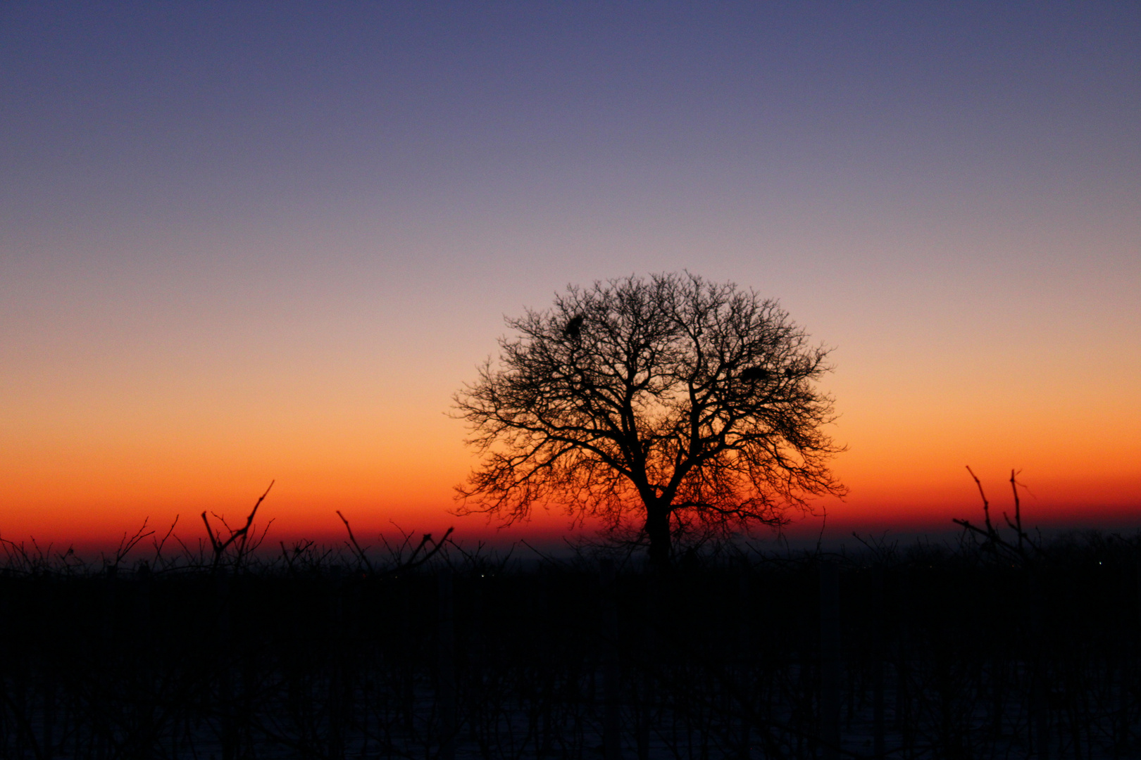 Sonnenaufgang