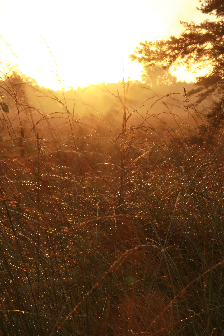 Sonnenaufgang