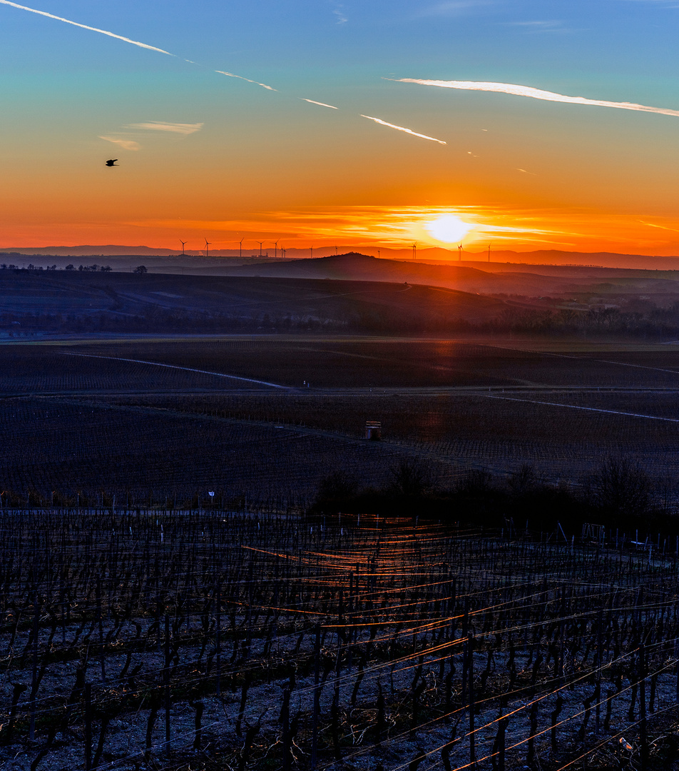 Sonnenaufgang