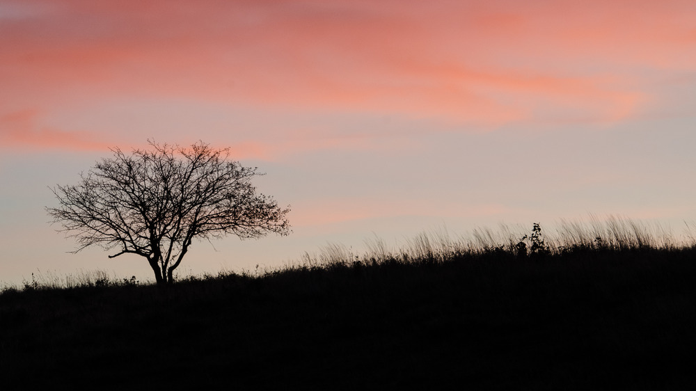 Sonnenaufgang