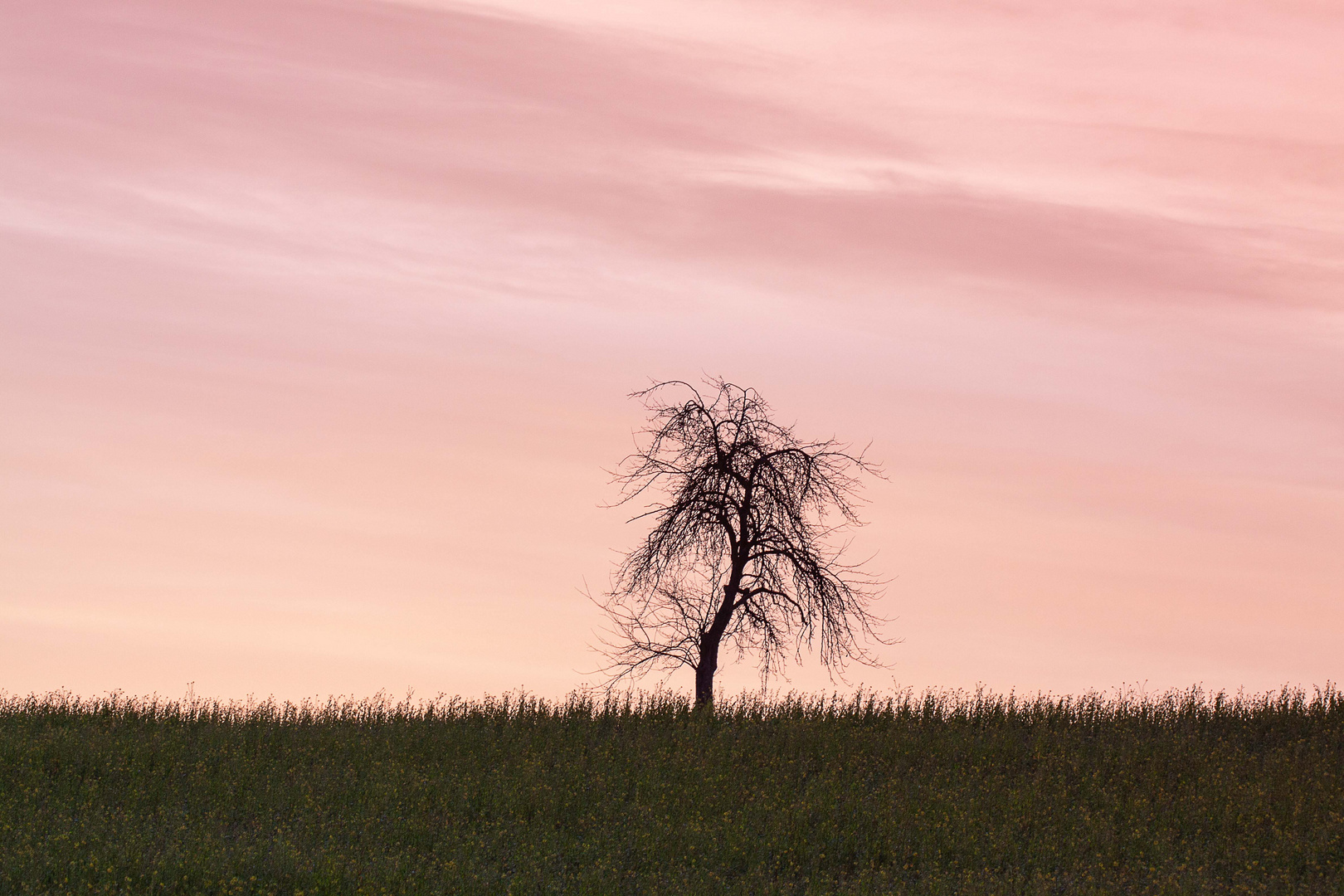 Sonnenaufgang