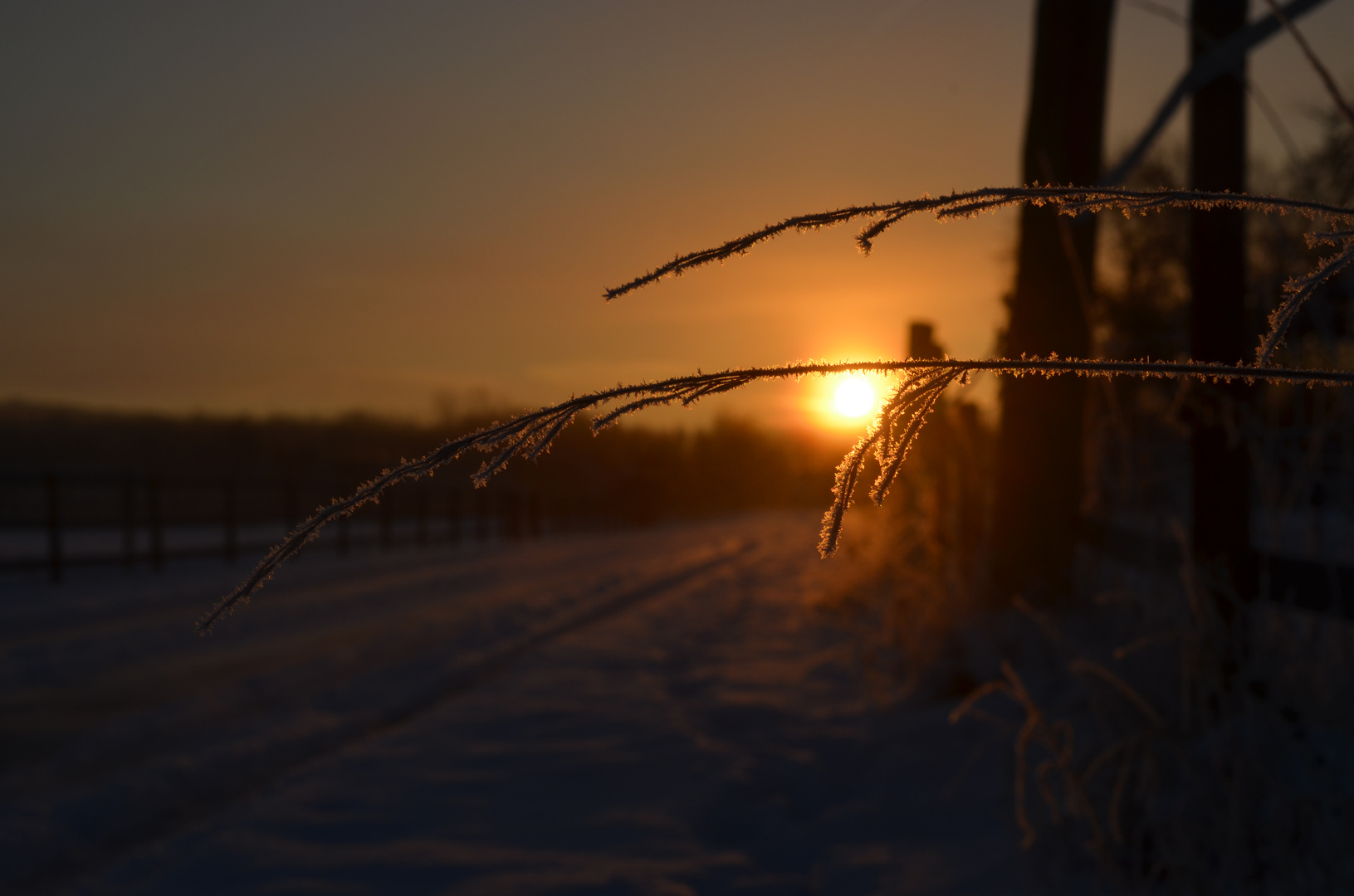 Sonnenaufgang