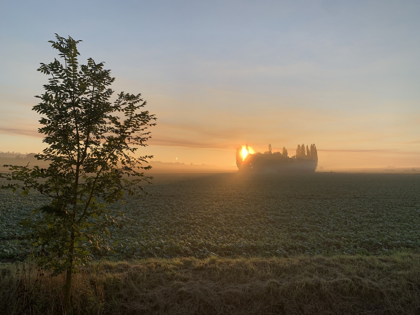 Sonnenaufgang 