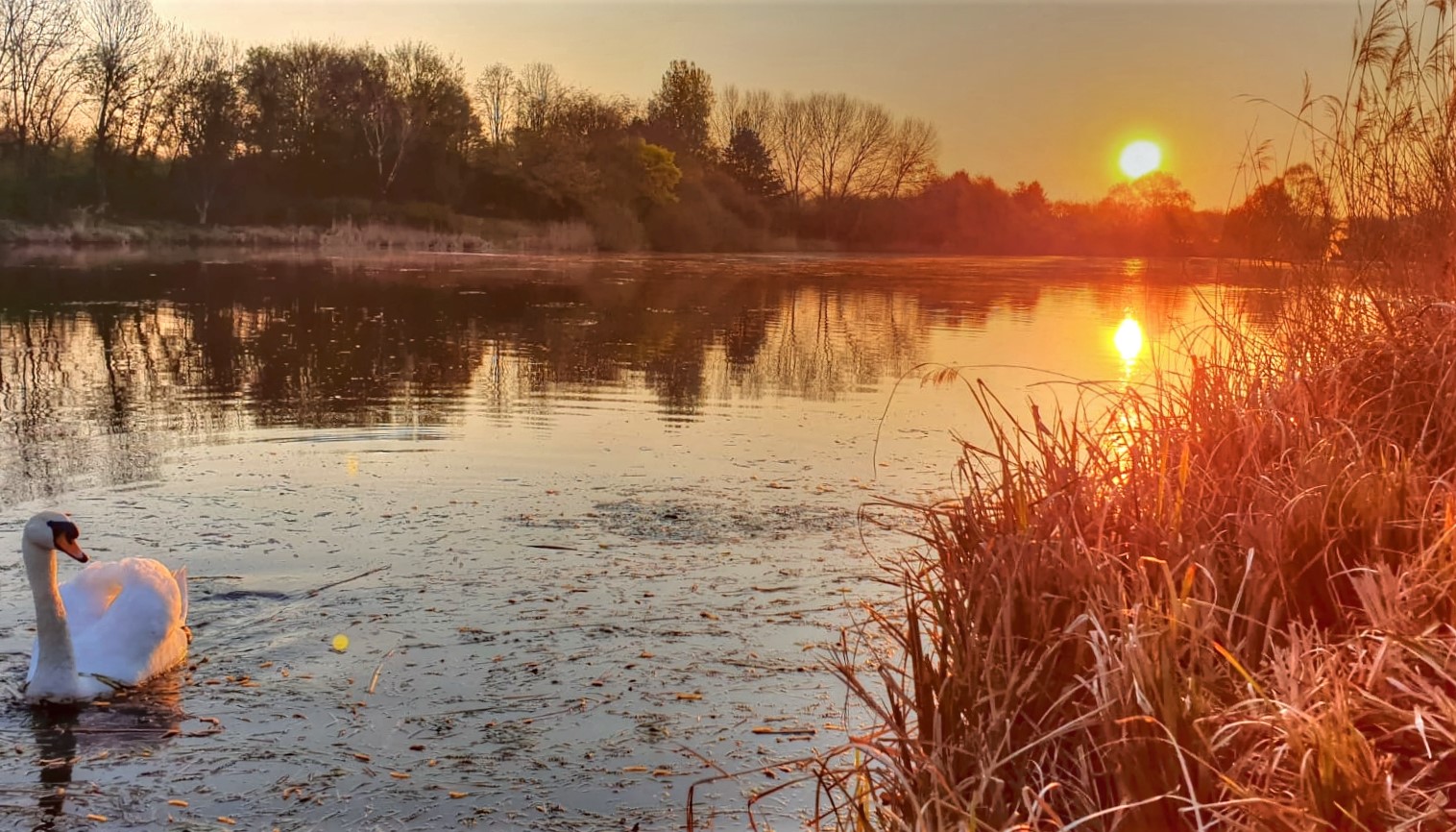 Sonnenaufgang