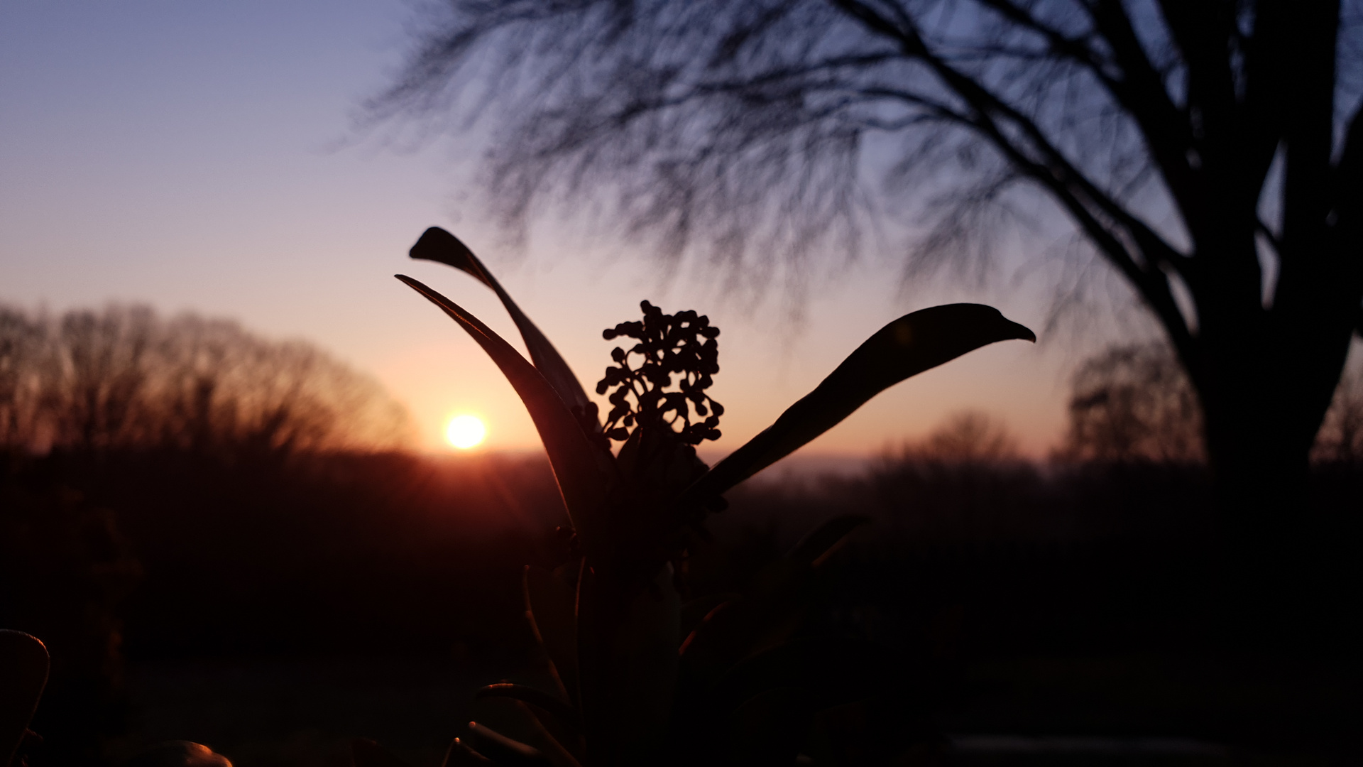 Sonnenaufgang