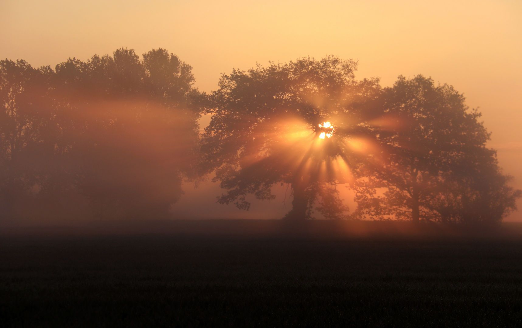 Sonnenaufgang