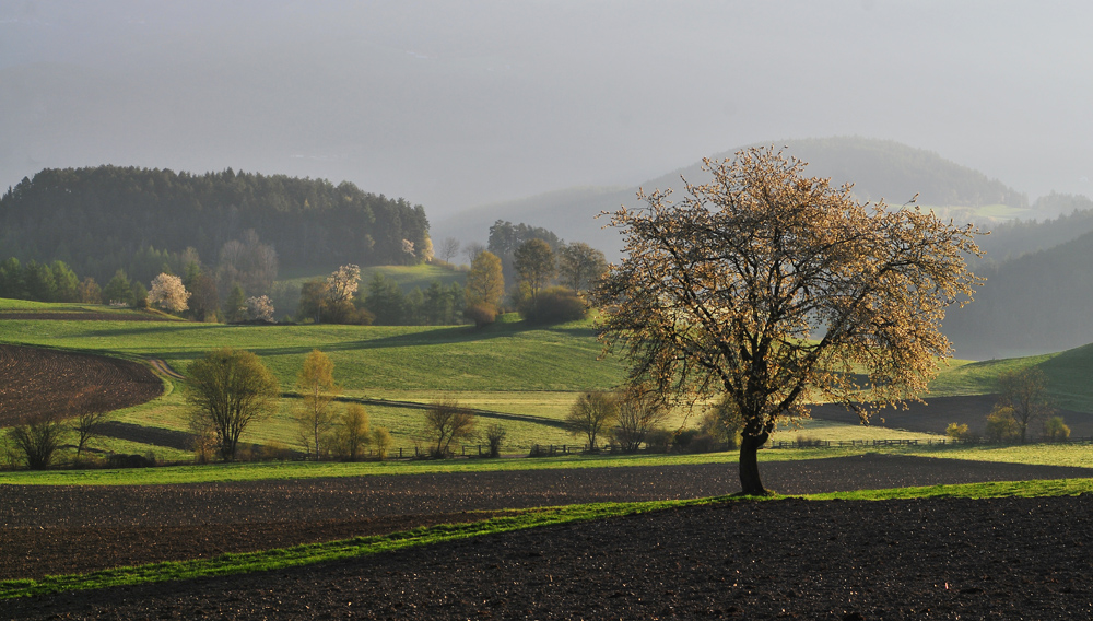 sonnenaufgang