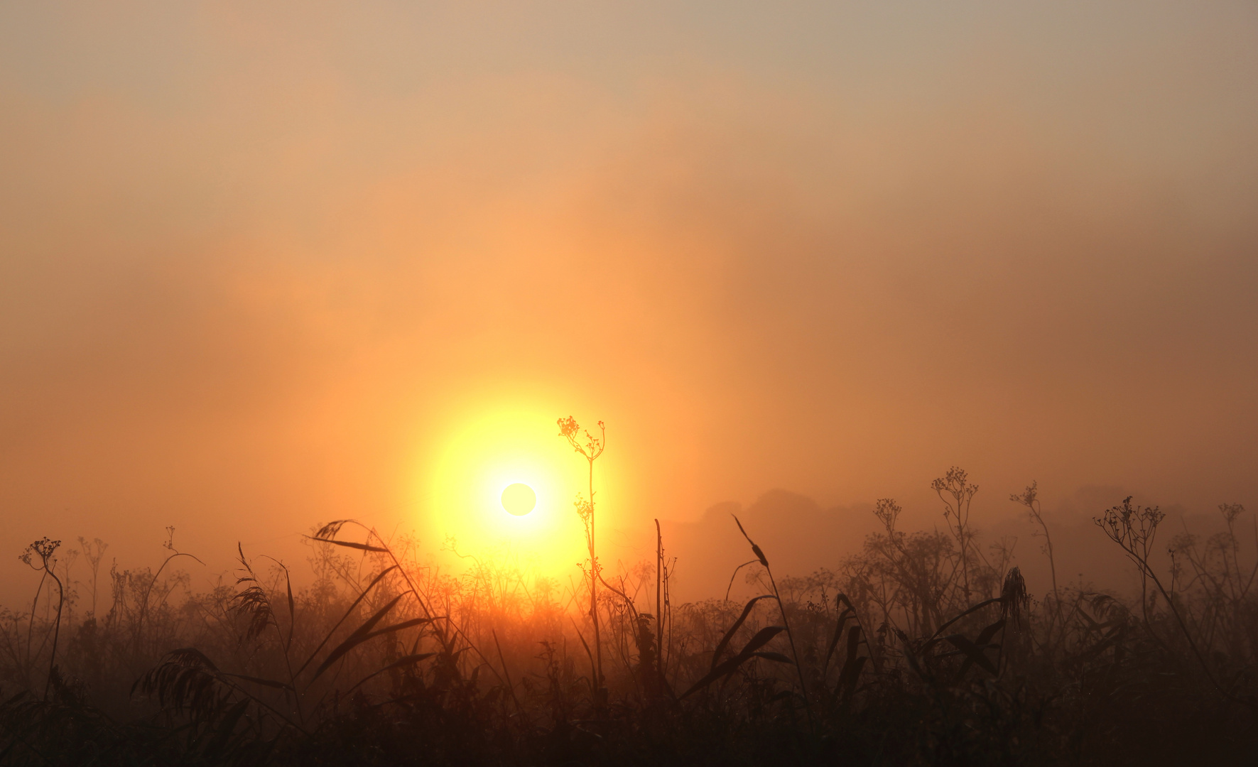 Sonnenaufgang