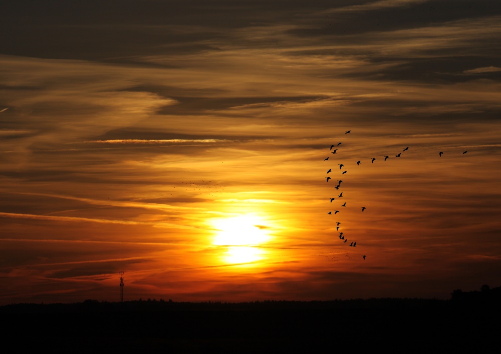 Sonnenaufgang