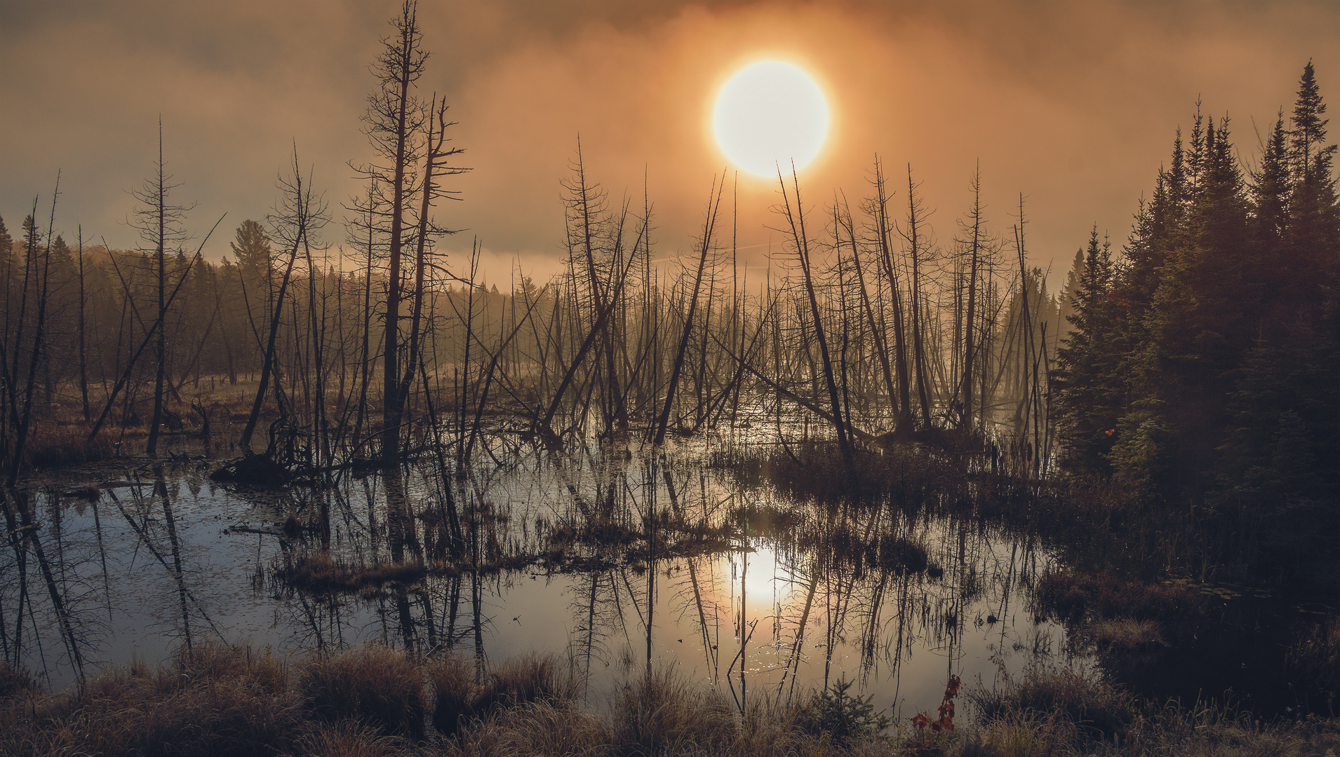 Sonnenaufgang, Algonquin State Park