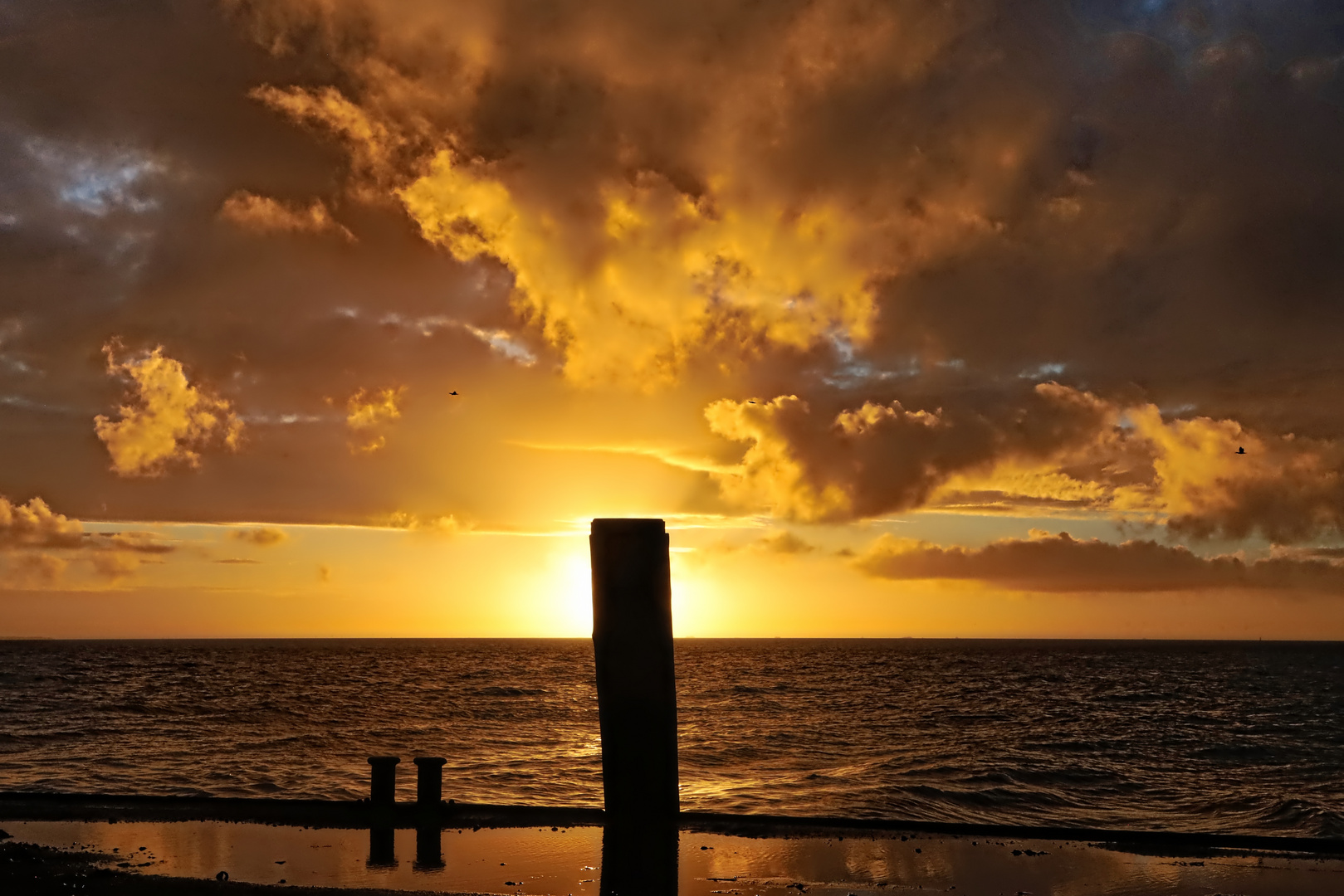 Sonnenaufgang allein auf der Mole