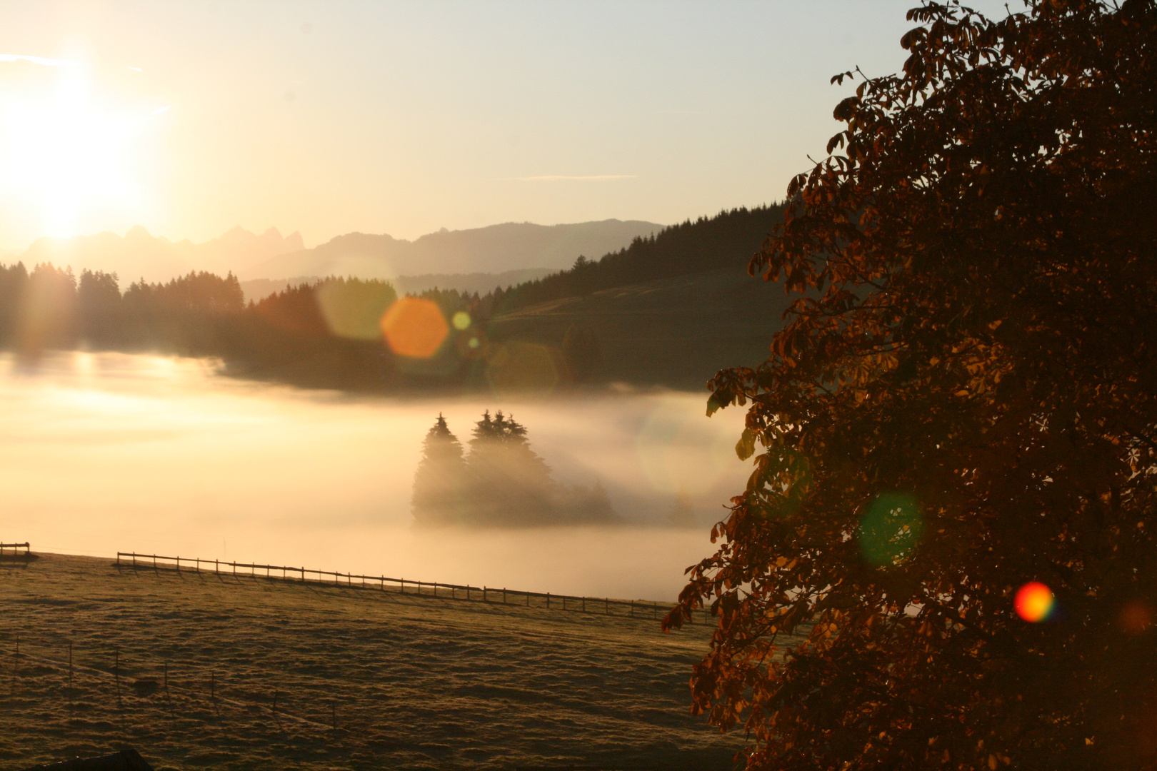 Sonnenaufgang Allgäu 1