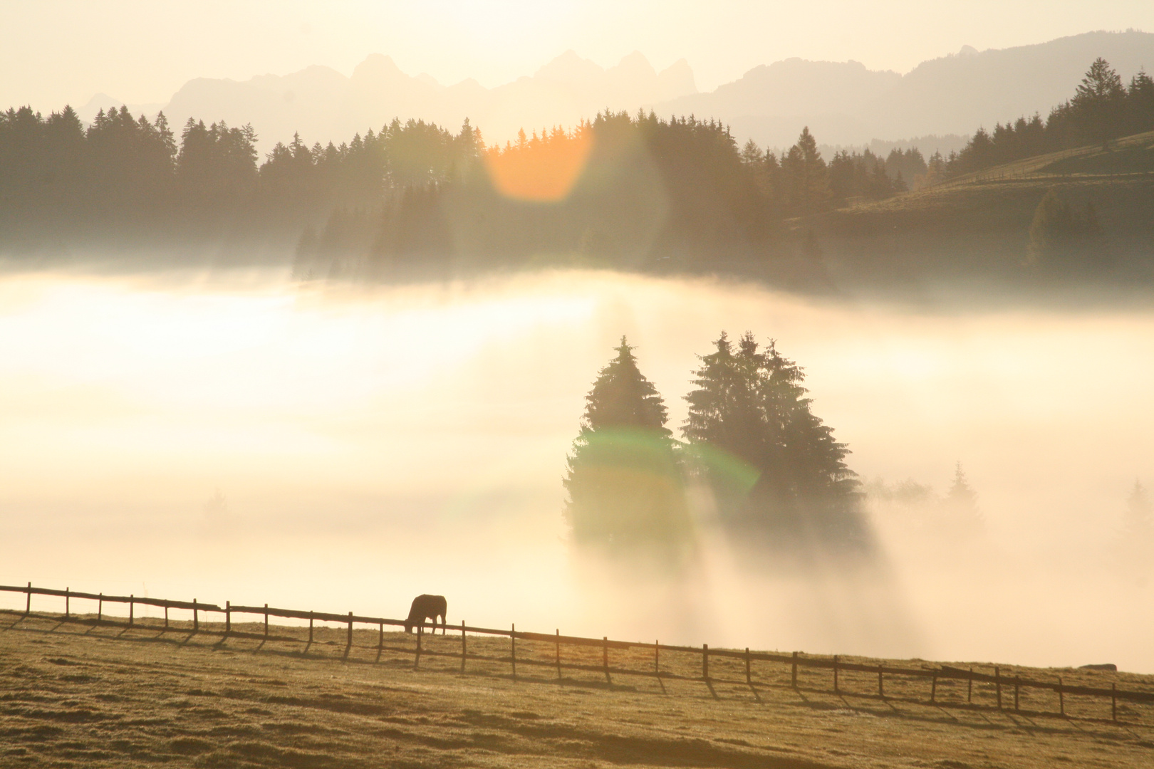 Sonnenaufgang Allgäu 2