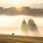 Sonnenaufgang Allgäu 2