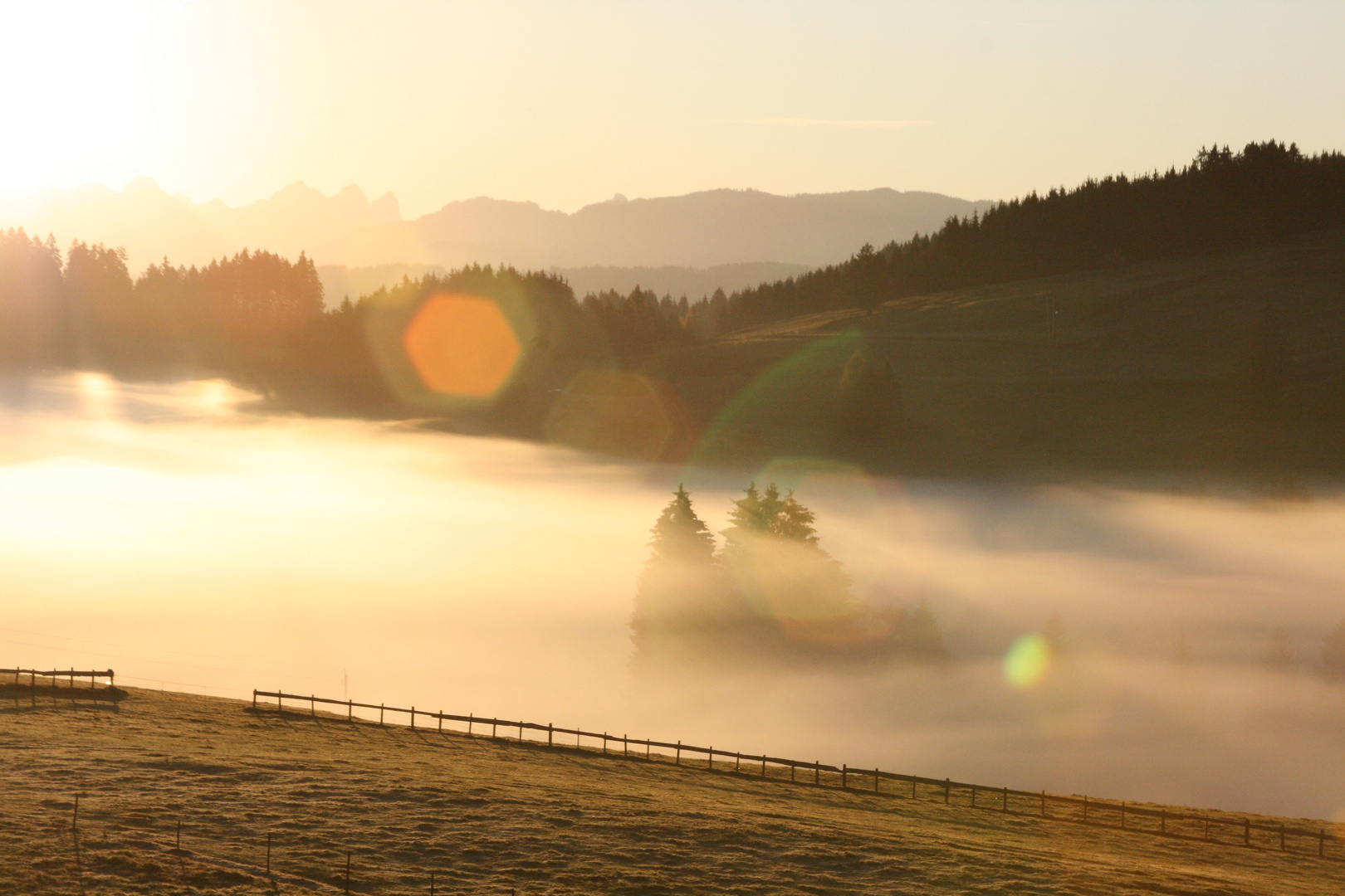 Sonnenaufgang Allgäu 