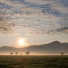 Sonnenaufgang Allgäu