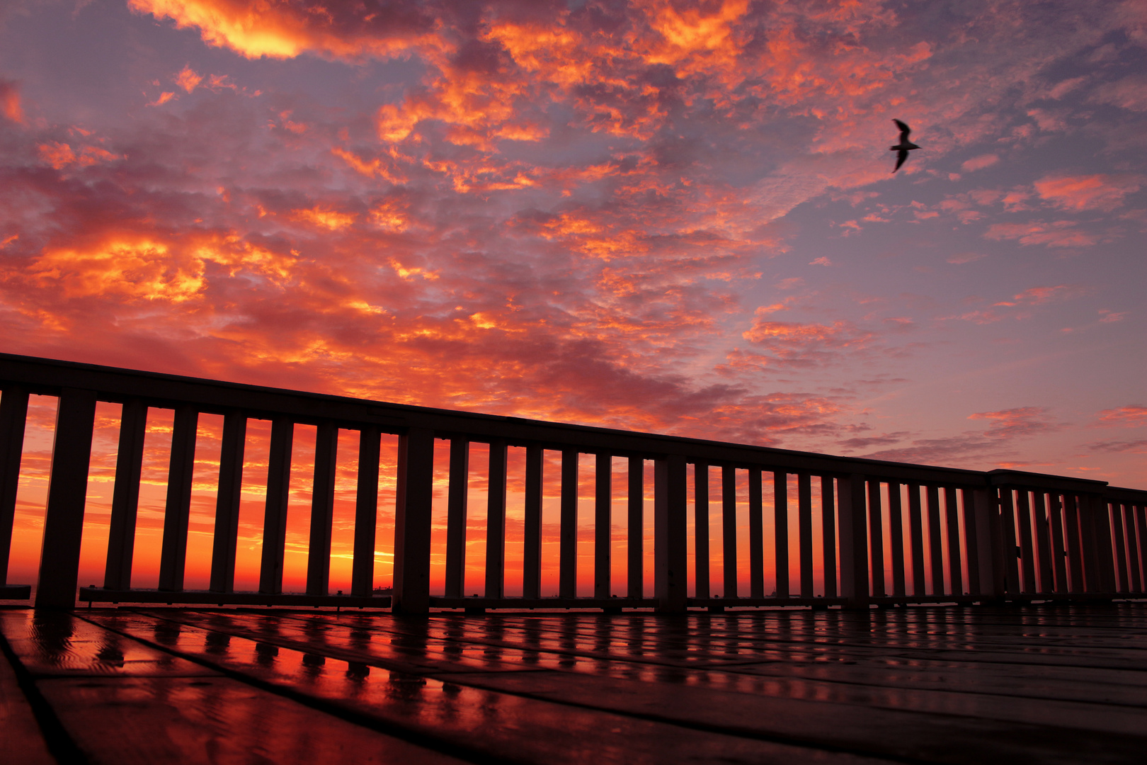 Sonnenaufgang Alte Liebe