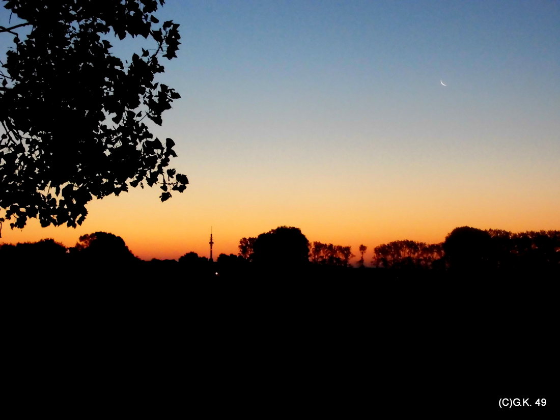 Sonnenaufgang am 03.10.2013 !