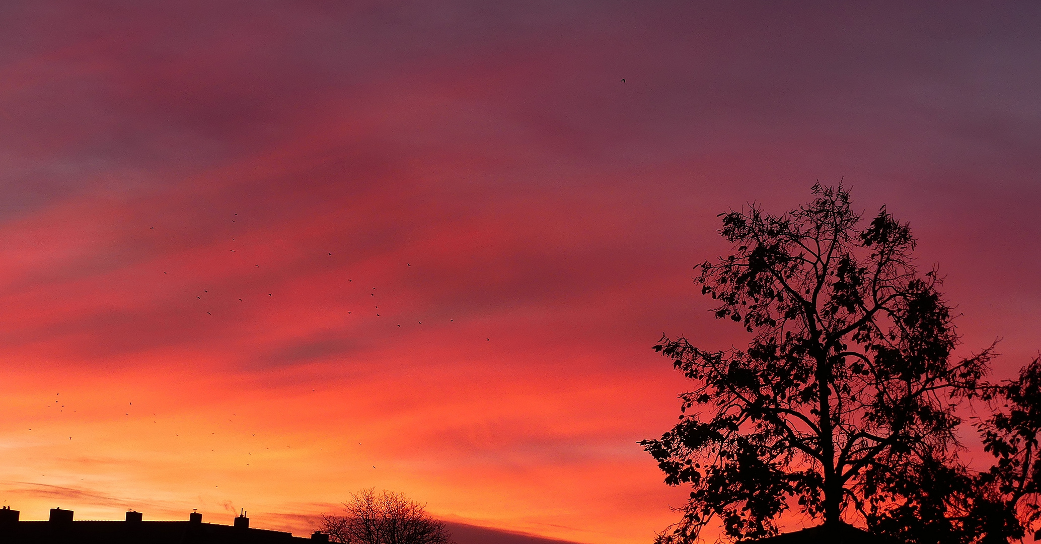 Sonnenaufgang am 12.November 2017