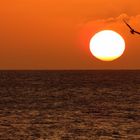 Sonnenaufgang am Ahlbecker Strand