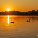 Sonnenaufgang am Alpsee