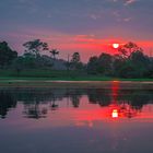 Sonnenaufgang am Amazonas