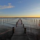 Sonnenaufgang am Ammersee