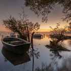 Sonnenaufgang am Ammersee