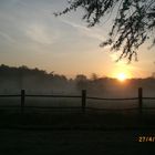 Sonnenaufgang am Angelteich