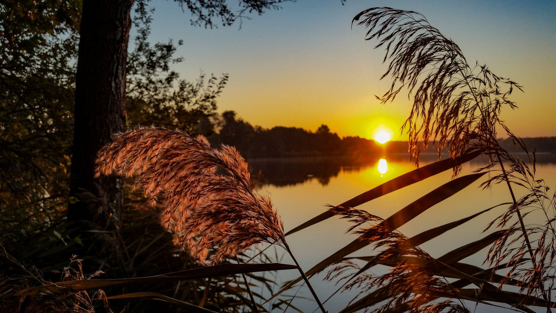 Sonnenaufgang am Anglersee