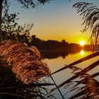 Sonnenaufgang am Anglersee