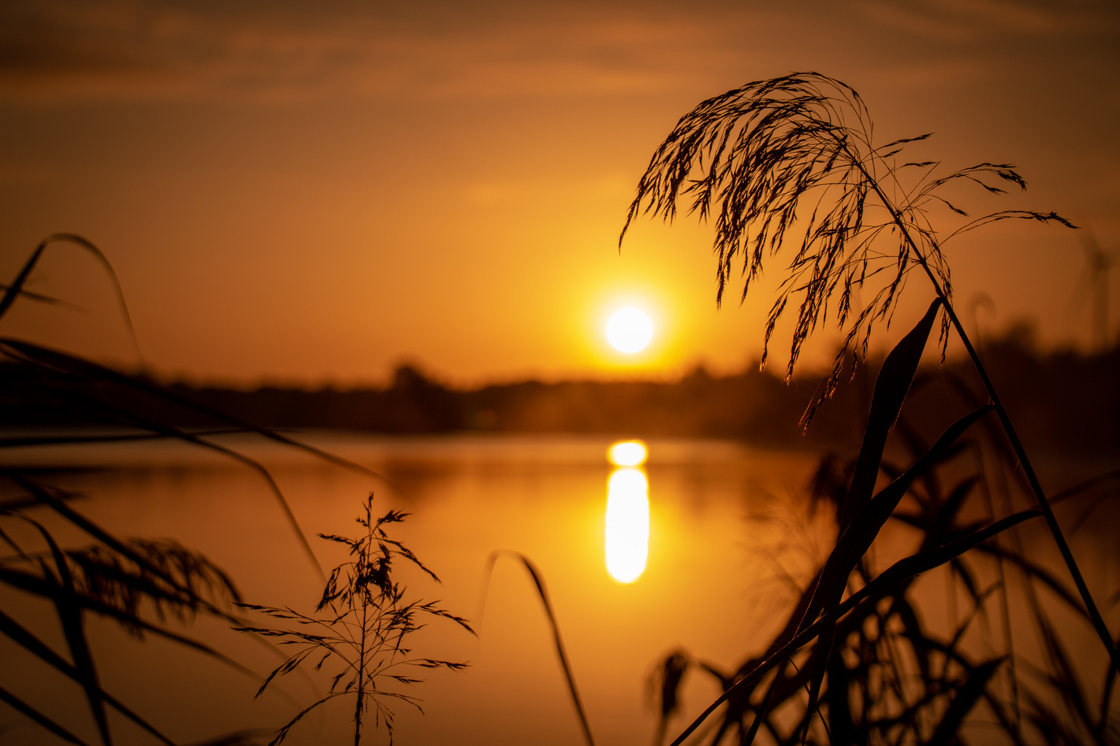 Sonnenaufgang am Anglersee