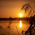 Sonnenaufgang am Anglersee