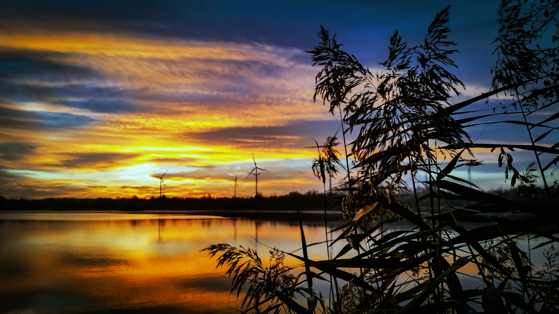 Sonnenaufgang am Anglersee