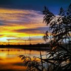 Sonnenaufgang am Anglersee