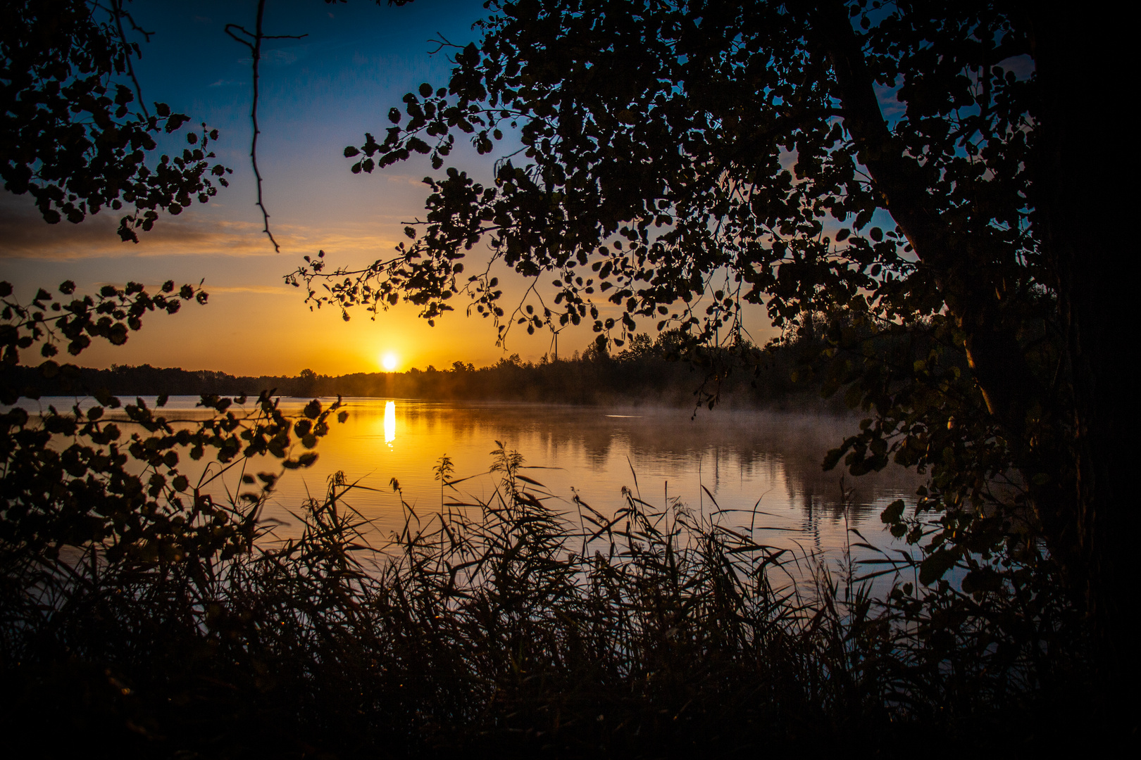 Sonnenaufgang am Anglersee