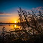 Sonnenaufgang am Anglersee