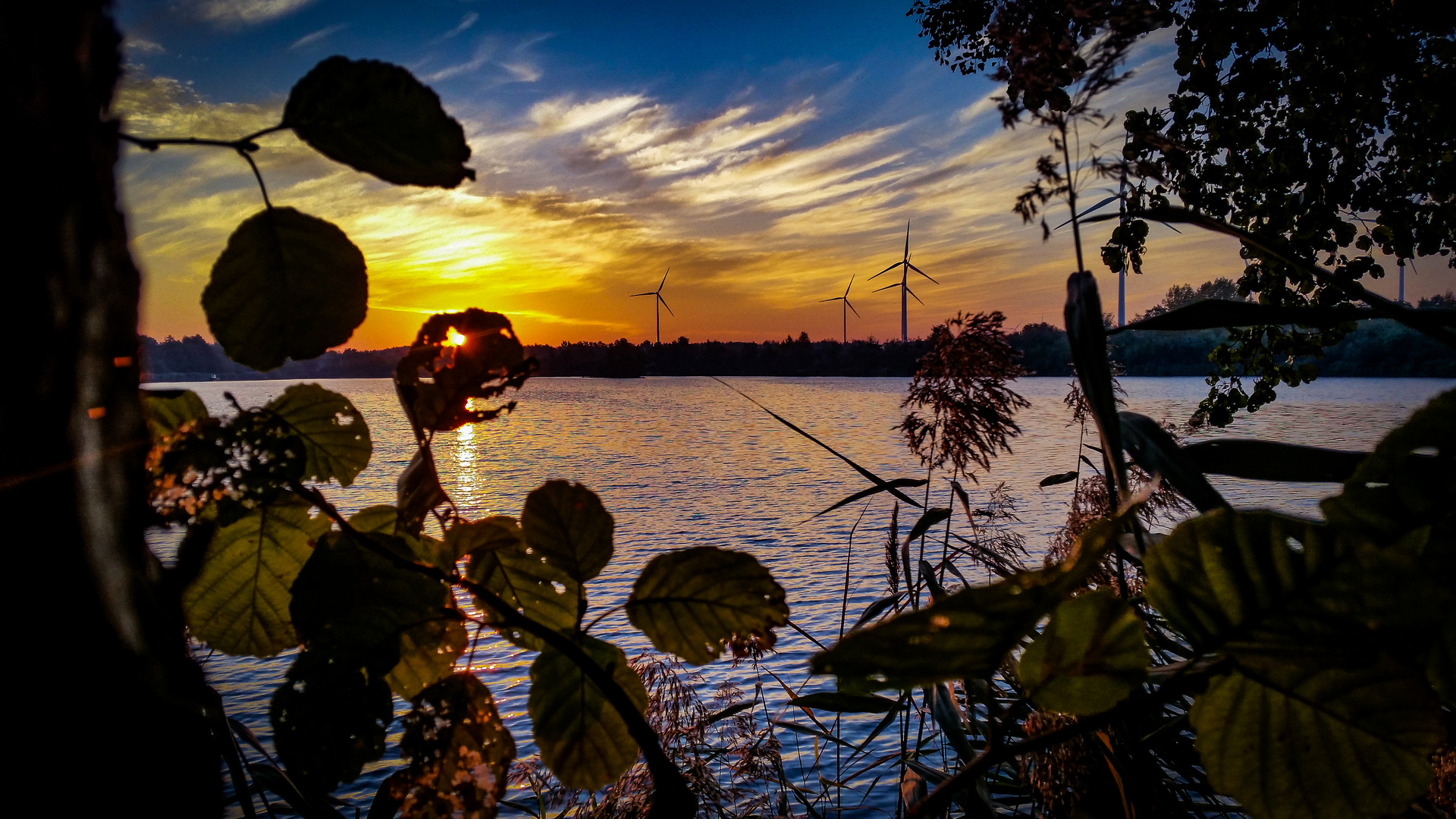 Sonnenaufgang am Anglersee