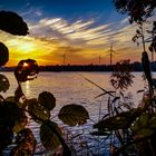 Sonnenaufgang am Anglersee