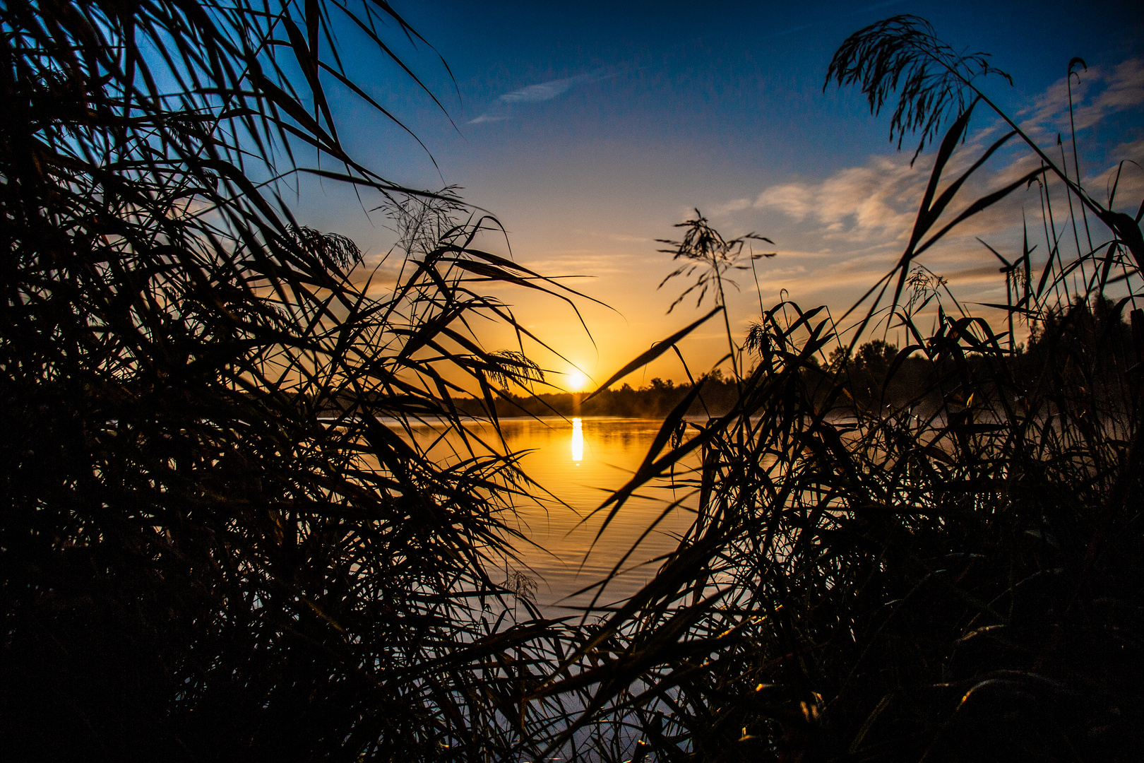 Sonnenaufgang am Anglersee