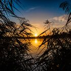 Sonnenaufgang am Anglersee