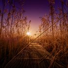 Sonnenaufgang am Arendsee im Dezember 