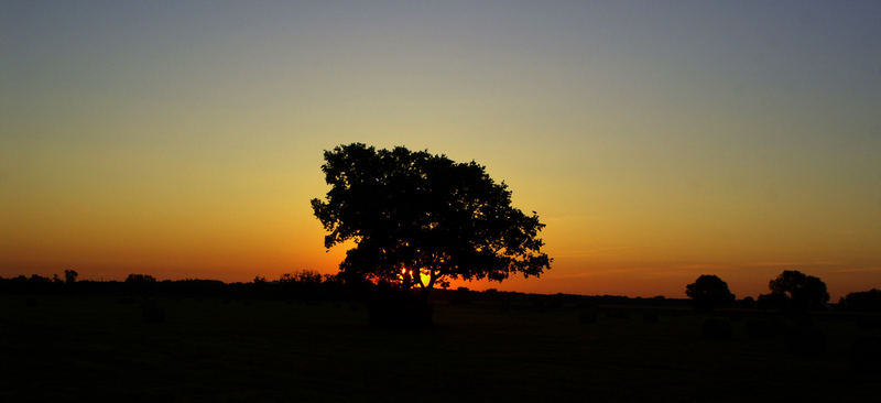 Sonnenaufgang am Arsch der Welt ( Brandenburg)