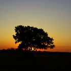 Sonnenaufgang am Arsch der Welt ( Brandenburg)